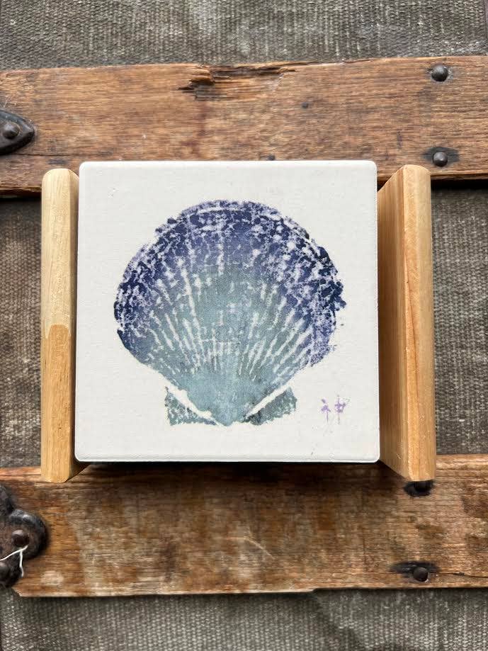 Coasters Shell Set - 4x4