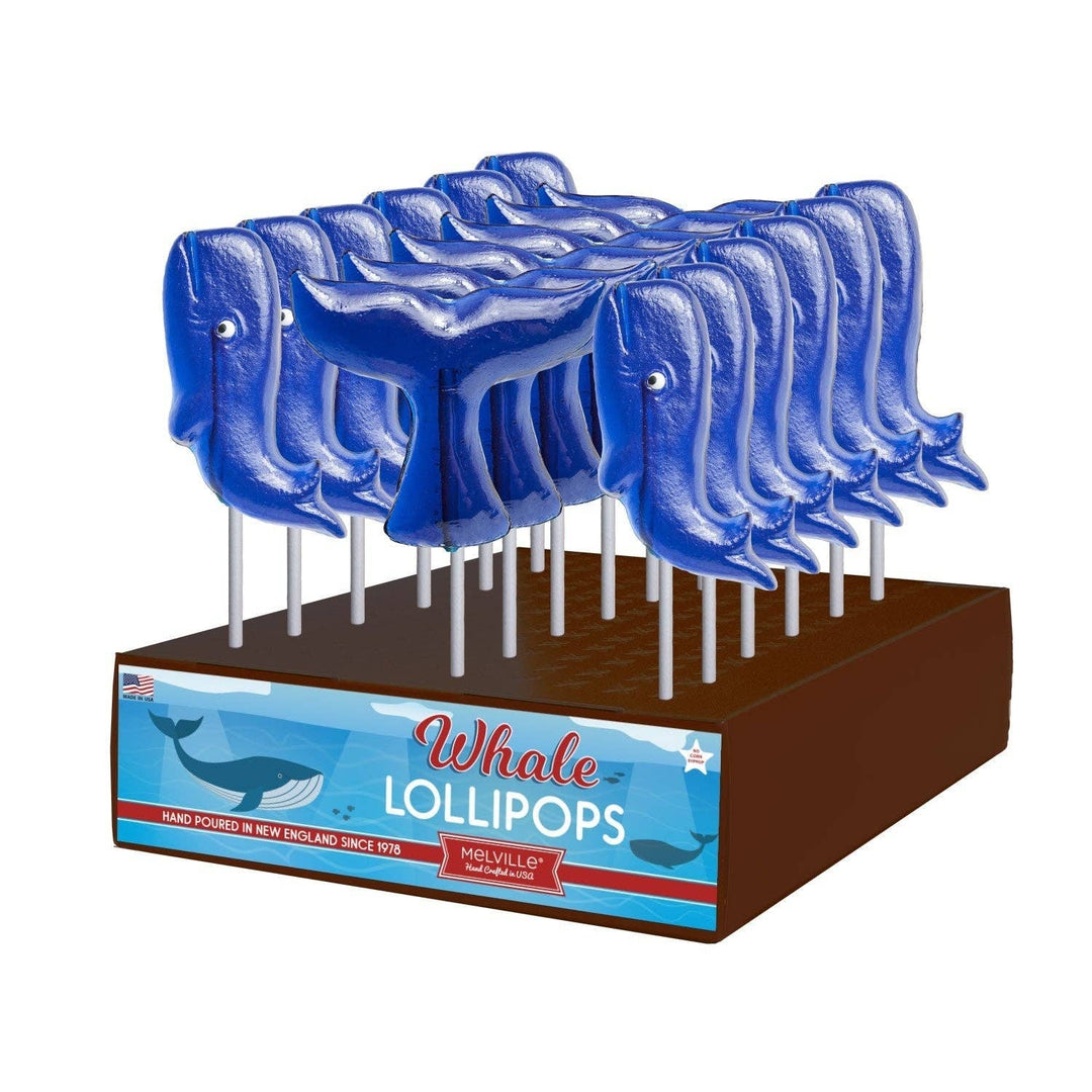 Whale & Tail Lollipops - Assorted: 24 pack with display