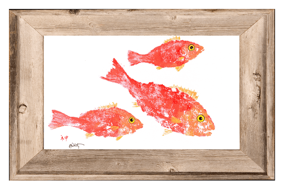 School of Coral Snapper Print: 4" X 6" With Frame