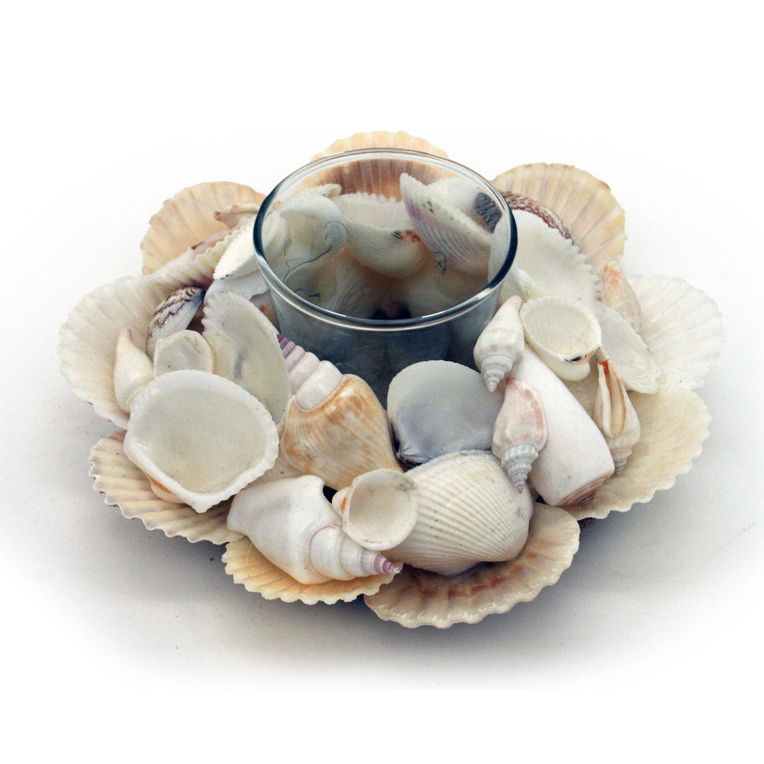 Assorted White Shell Glass Tealight Holder