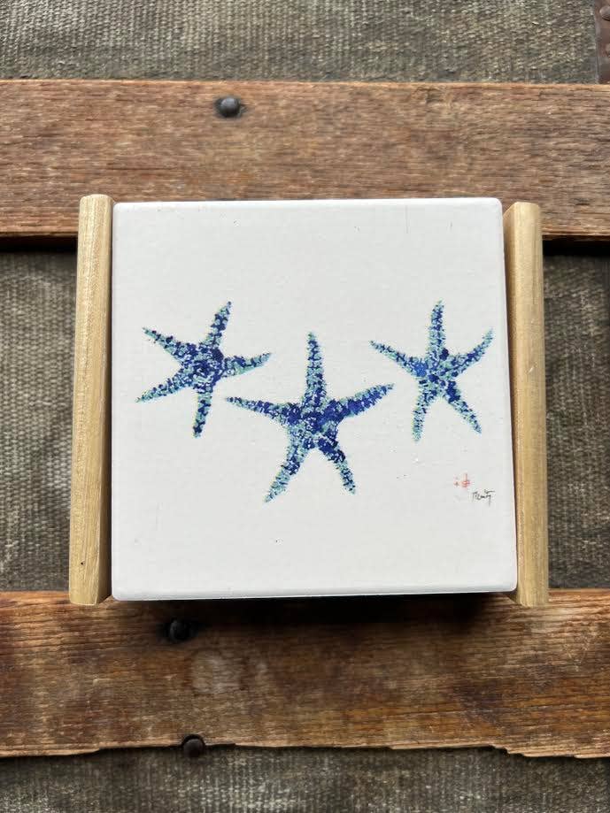 Coasters Starfish Set - 4x4