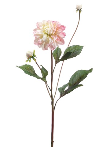 26” GARDEN DALIA SPRAY PK/CR