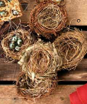 NESTS
