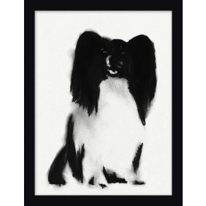 DOGS 6