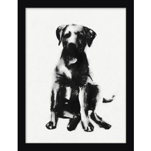 DOGS 5