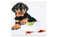 JAVA’S PAW FRAMELESS FREE FLOATING GLASS