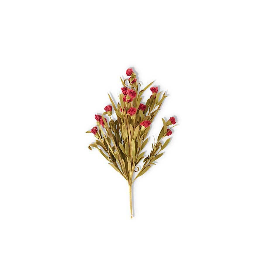 20” CELOSIA SPRAY