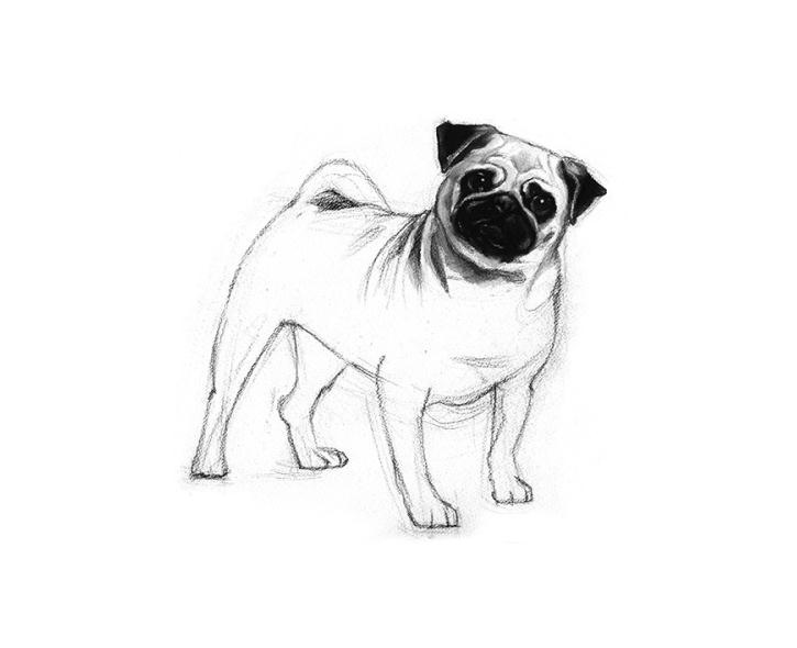SKETCH OF A DOG III
