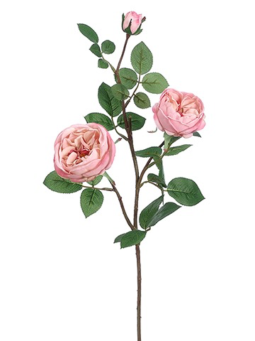 CABBAGE ROSE SPRAY-29 "