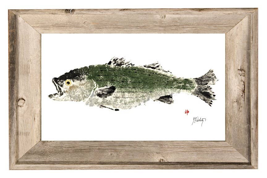 Cape Cod Summer Striper Print: 4" X 6" With Frame