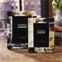 BAYARD NATURAL HORN FRAME 4X6