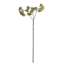 BOTANICA #2208