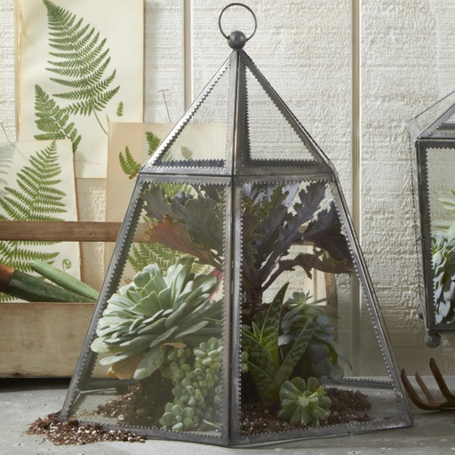 HEXAGONAL PLANT TERRARIUM CLOCHE