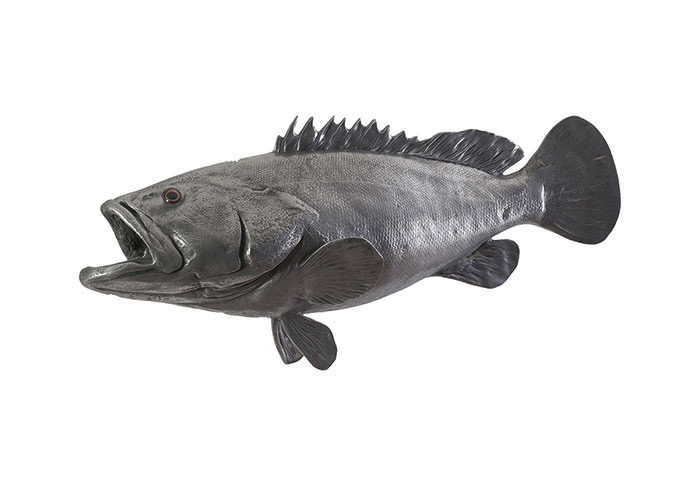 ESTUARY COD FISH POLISHED ALUMINUM