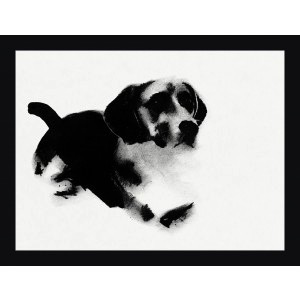 DOGS 1