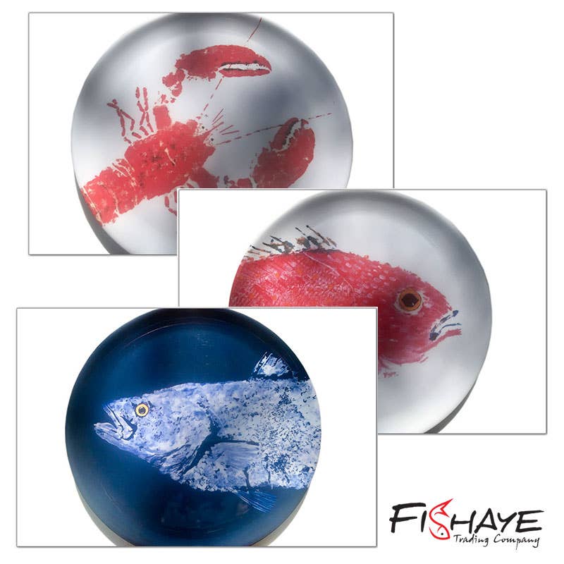 Mix and Match - 4 Plates