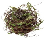 NEST 6.5"X3.5"