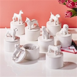 BEST IN SHOW BOXES