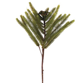 PINE/PROTEA 20"