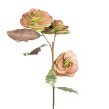 BOTANICA #1150