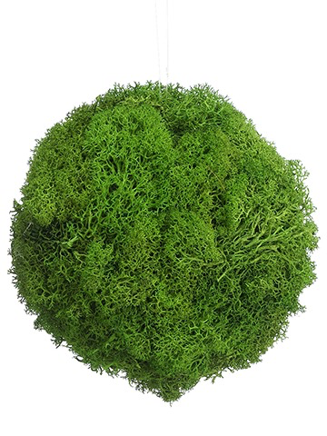 6” PRES REIND MOSSBALL ORNAMENT
