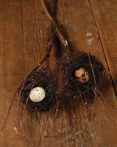 SPARROWS NEST ON STICK