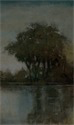 SERENE REFLECTION IX 30 X 50