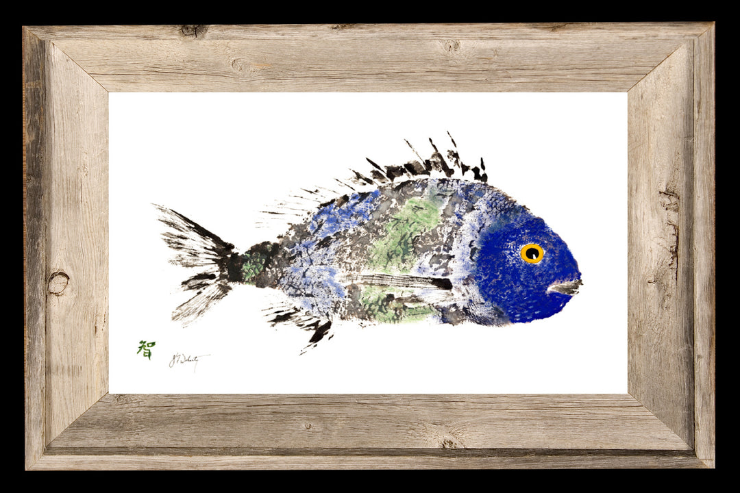 BLUE GREEN SCUP FISH ART