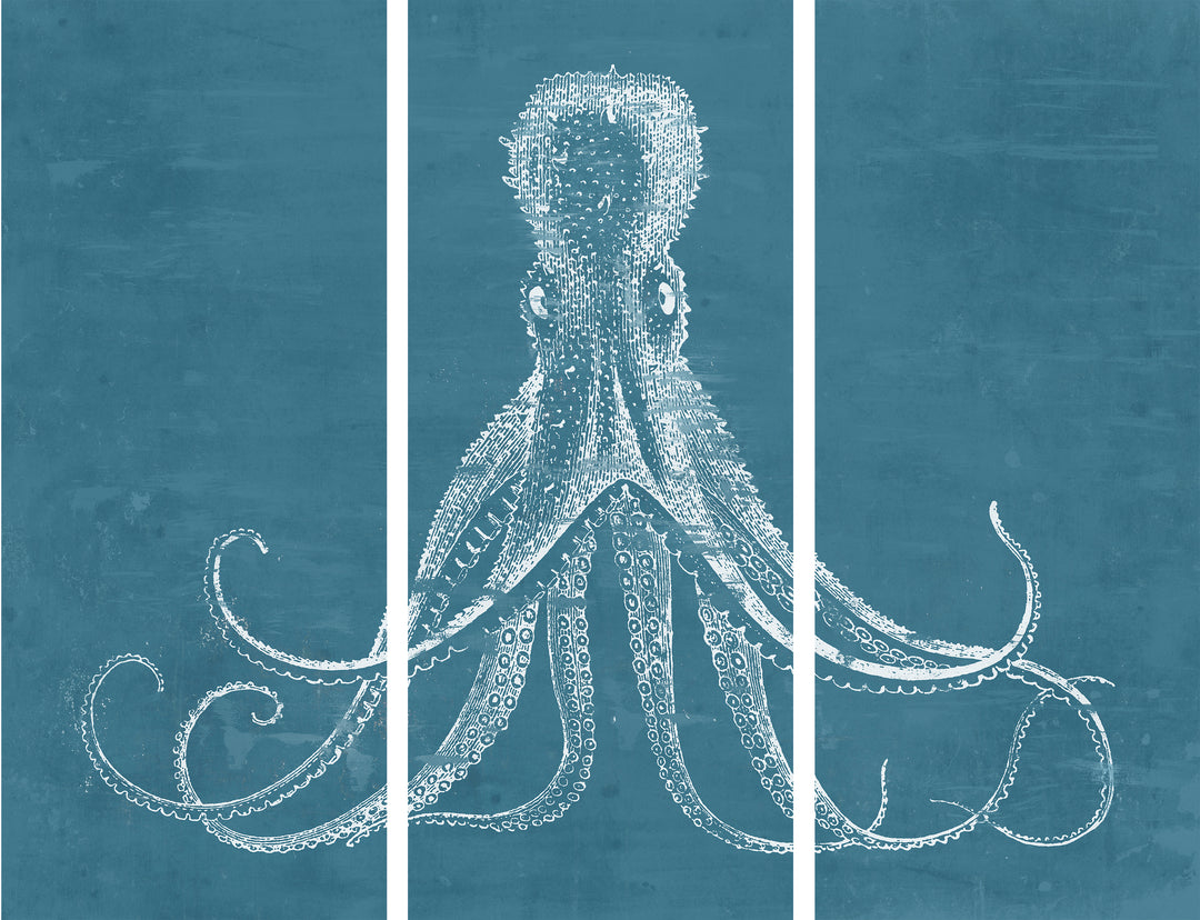 OCTOPUS TRIPTYCH