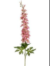 32" DELPHINIUM SPRAY PK/TT