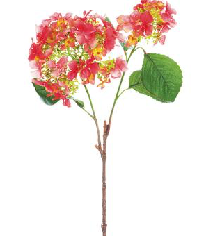 25" HYDRANGEA SPRAY CO