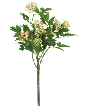 34" VIBURNUM SPRAY PK/CR