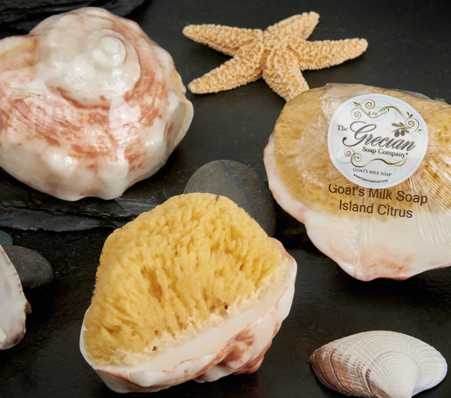 CONCH SHELL SOAP