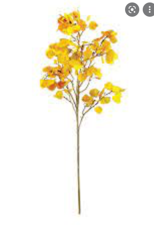 ASPEN 51" BRANCH