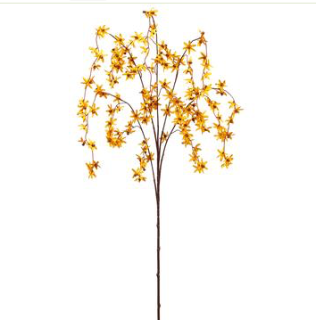 STARFLOWER BRANCH