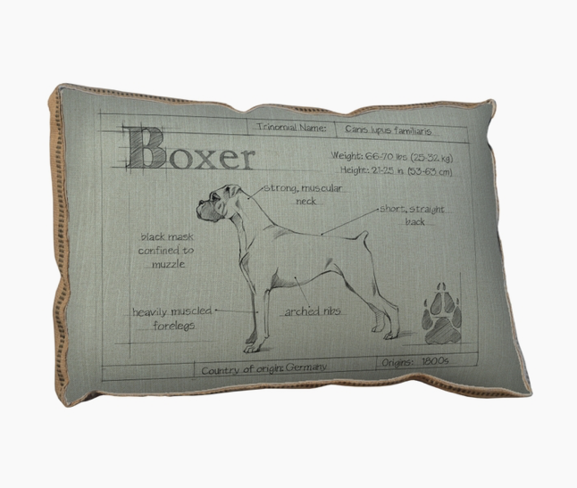BLUEPRINT BOXER PILLOW