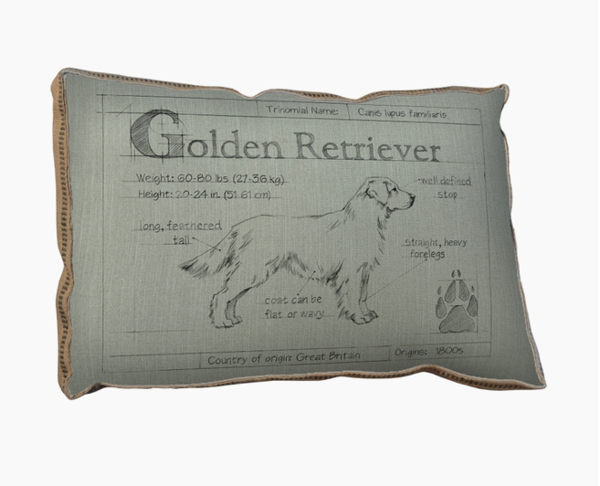 BLUEPRINT GOLDEN RETRIEVER PILLOW