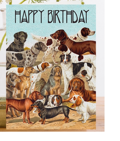 BIRTHDAY CARD