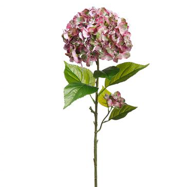 HYDRANGEA SPRAY LV/BU -40"