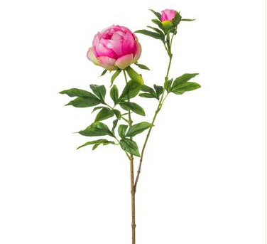 PEONY SPRAY FU -26.5"