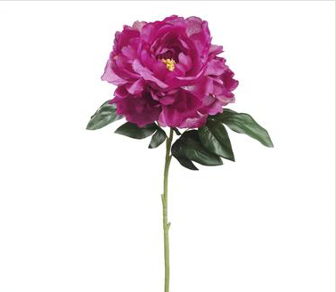 PEONY SPRAY BB - 23"