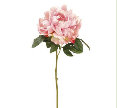 PEONY SPRAY PK - 23"