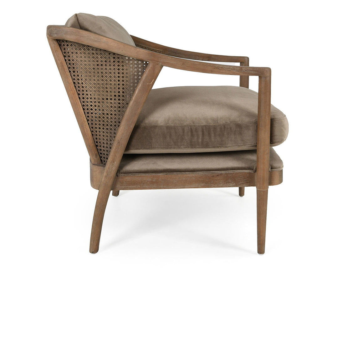 Cody - Accent Chair