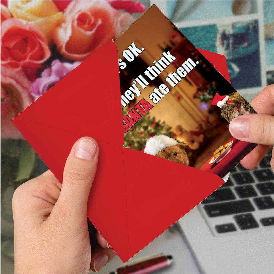 Single Christmas Card - Think Santa Ate Them Christmas