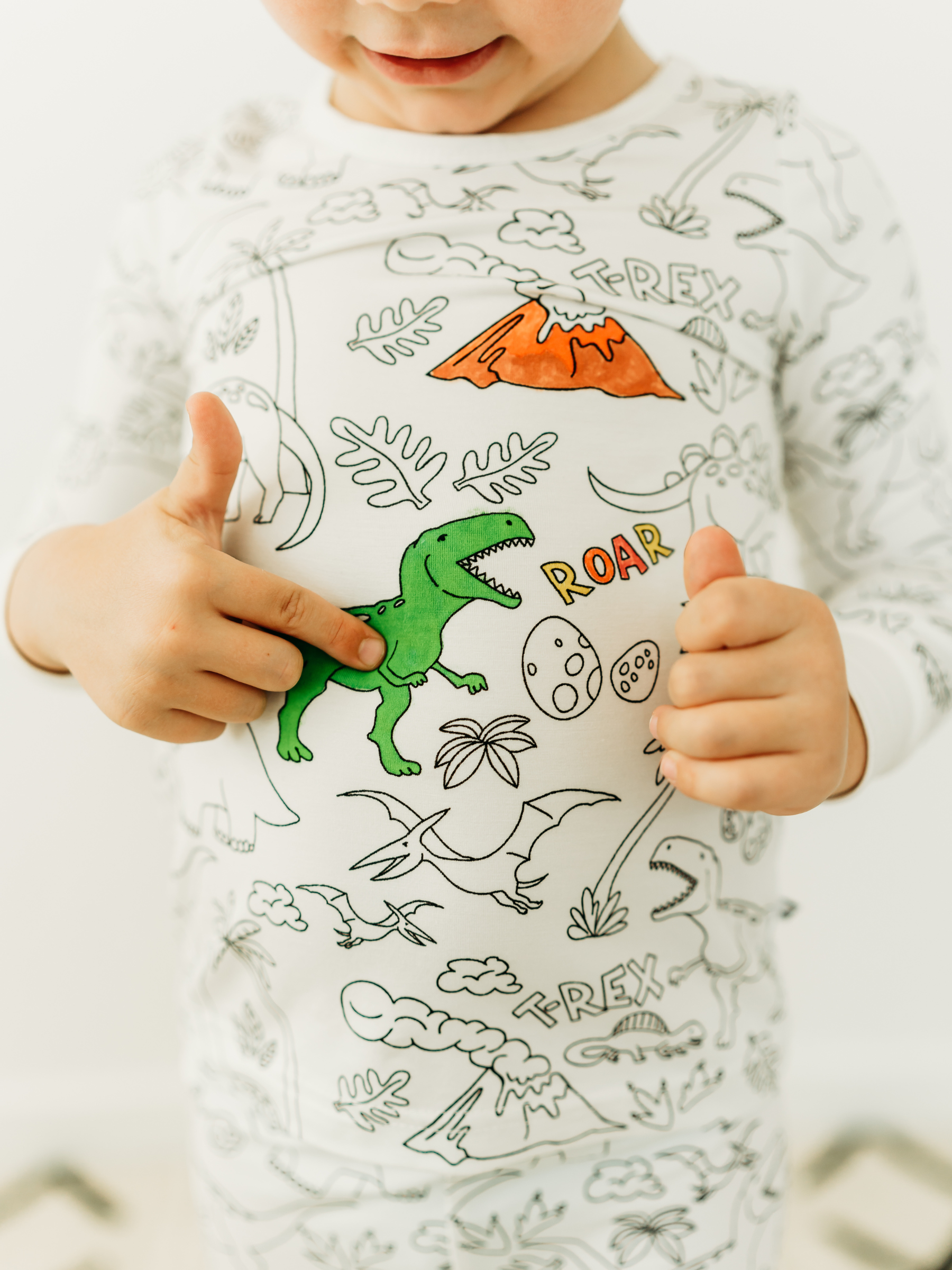 Dinosaur Coloring Pajamas 2 piece set made from Bamboo: 2T