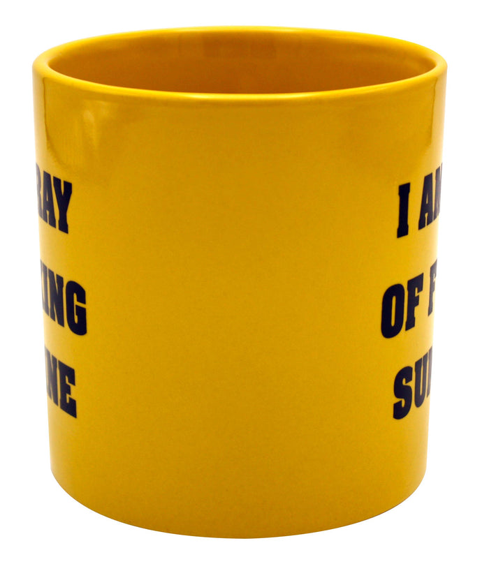 Giant Ray Of Fucking Sunshine Mug