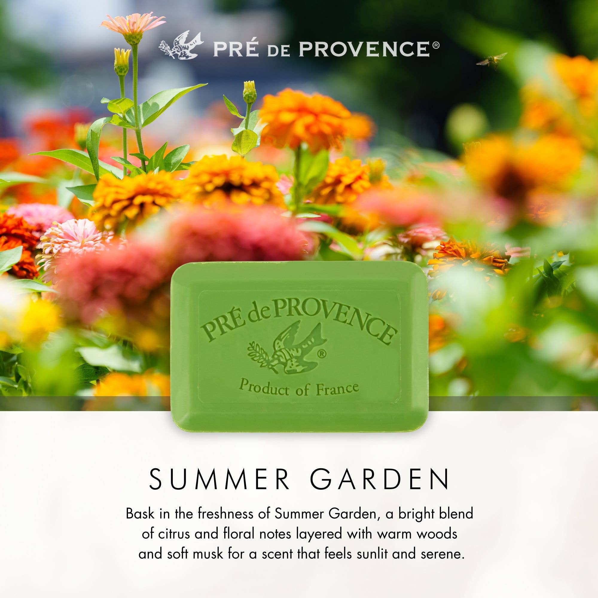 Summer Garden - 150g