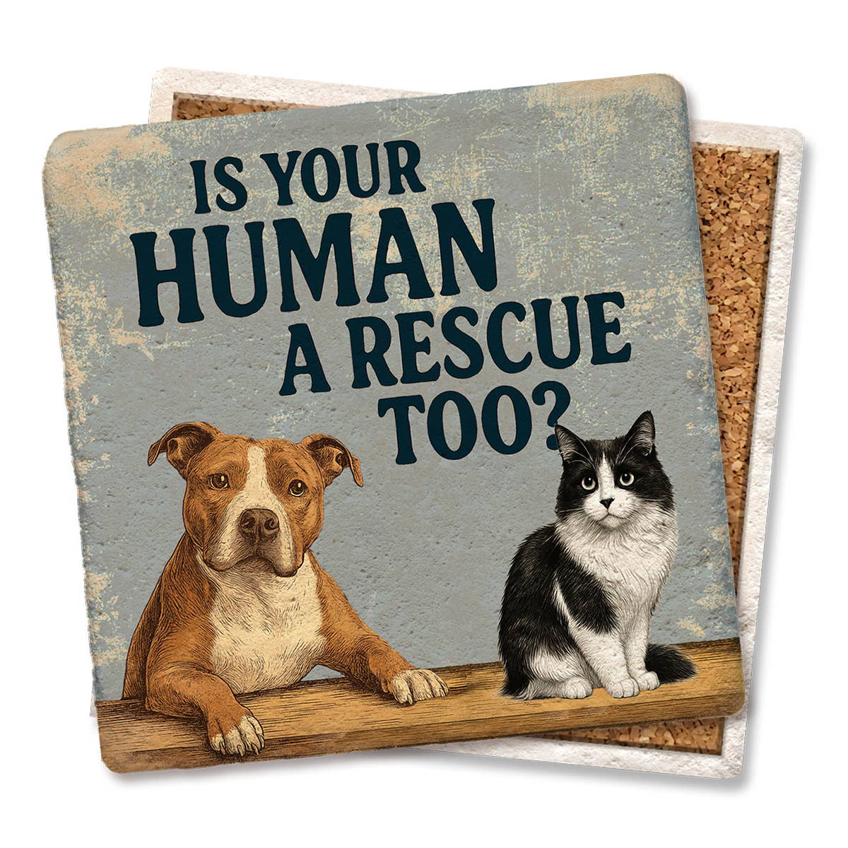 Coaster Pets Rescue: Limestone