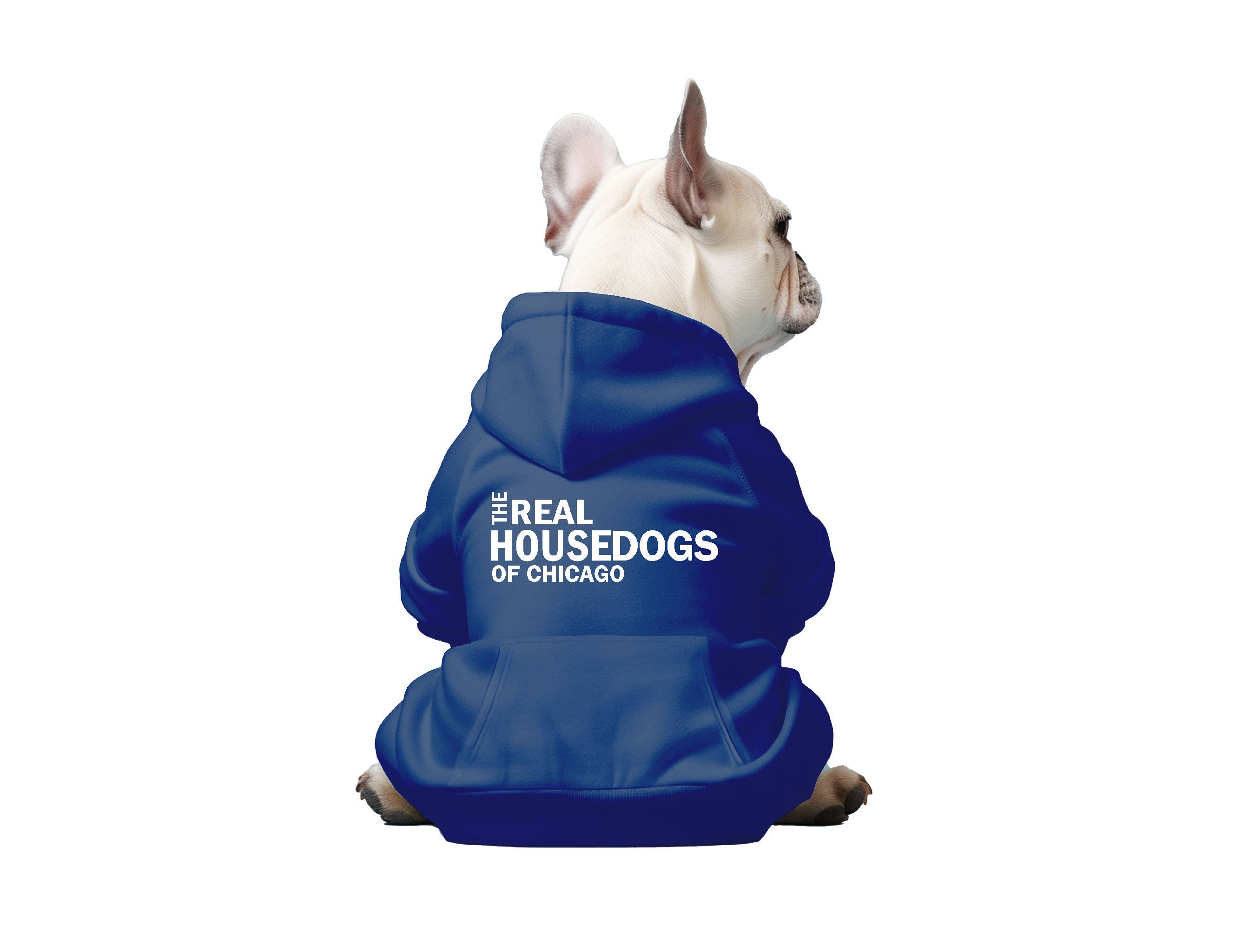 The Real House Dogs of CUSTOM CITY - Dog Hoodie: Navy / X-Large