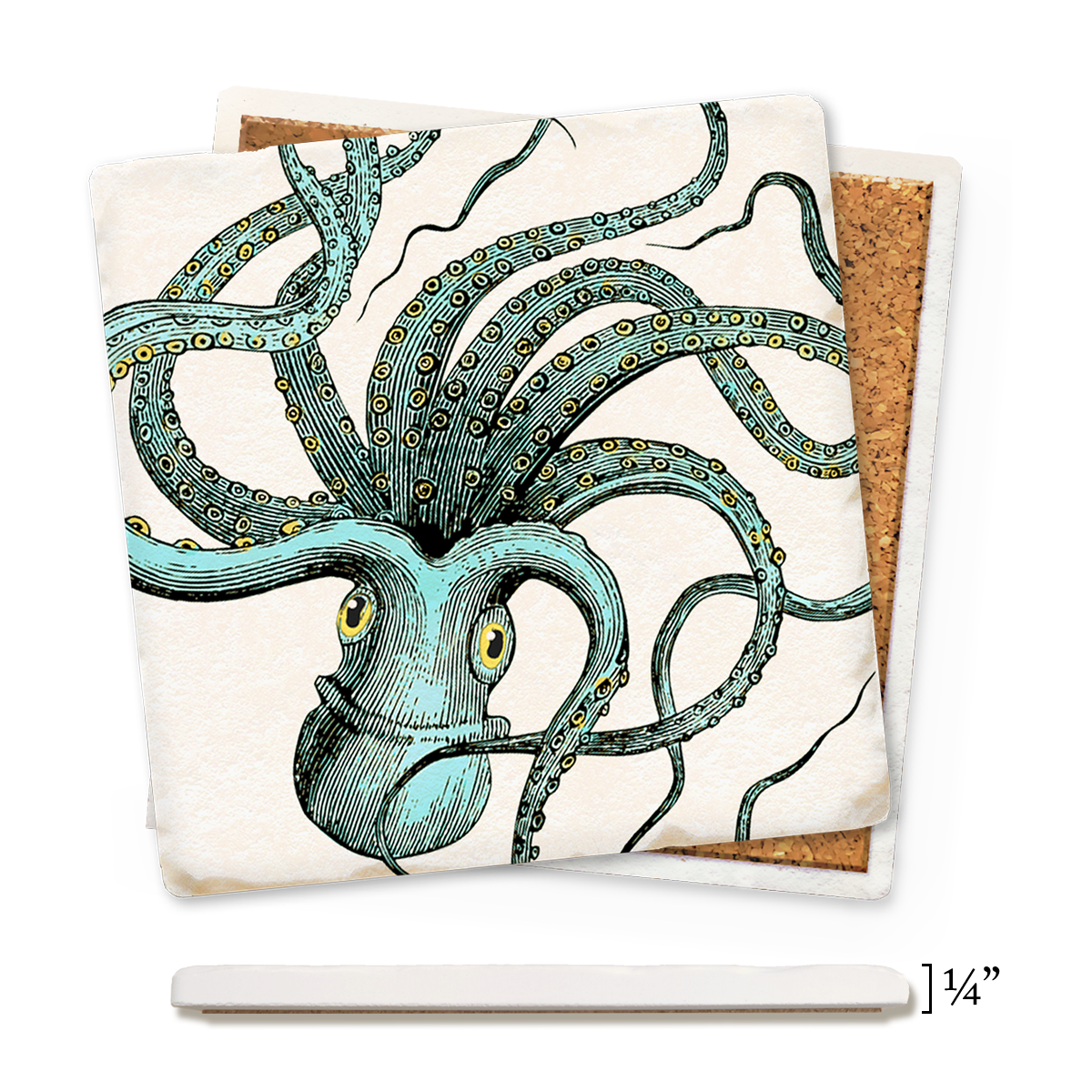 Economy Coaster - Octopus